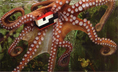 octopus_and_lego.jpg